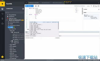 SQL數據庫查詢工具下載與計算機軟件咨詢指南
