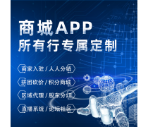 系統軟件開發與軟件系統定制開發 驅動企業數字化轉型的雙翼
